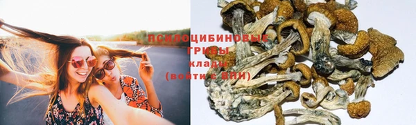 меф Инсар
