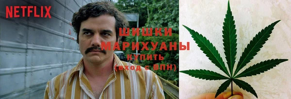хмурый Инта