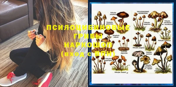 хмурый Инта