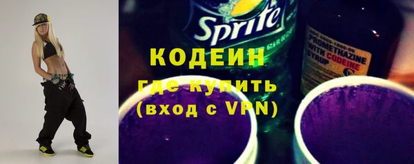 хмурый Инта