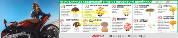 хмурый Инта