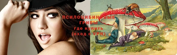 меф Инсар
