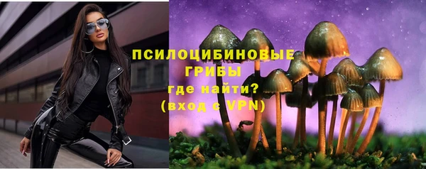 хмурый Инта