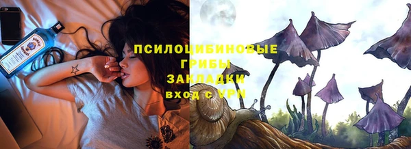твердый Зерноград