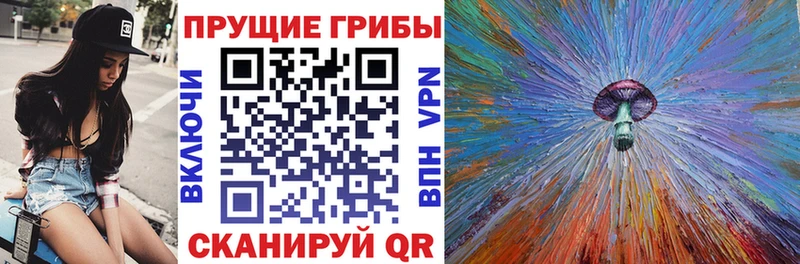купить   Западная Двина  Галлюциногенные грибы мицелий 